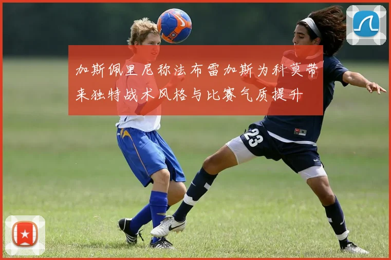 加斯佩里尼称法布雷加斯为科莫带来独特战术风格与比赛气质提升