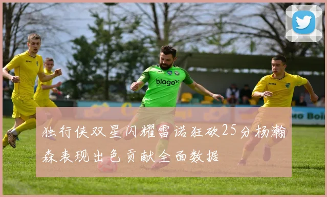 独行侠双星闪耀雷诺狂砍25分杨瀚森表现出色贡献全面数据