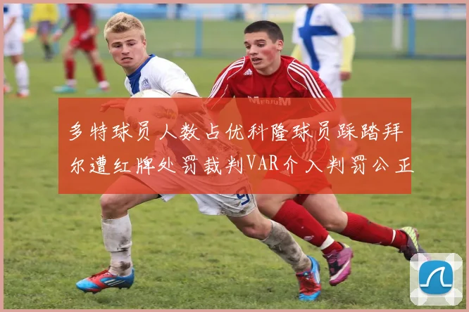 多特球员人数占优科隆球员踩踏拜尔遭红牌处罚裁判VAR介入判罚公正
